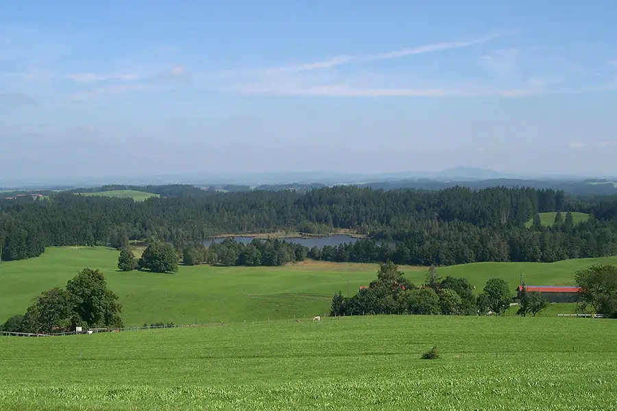 Dekoratives Bild Dekoratives Bild