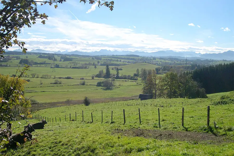 Dekoratives Bild Dekoratives Bild